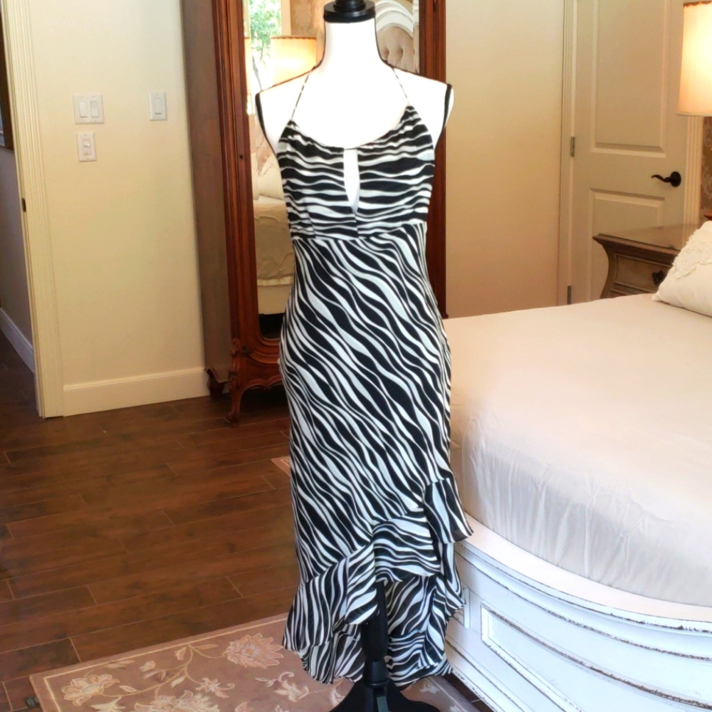 EXPRESS ZEBRA PRINT DRESS